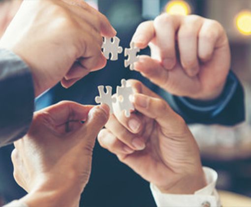 diverse group of hands